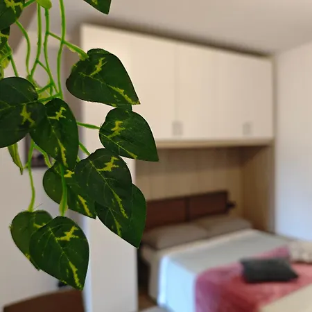Apartman Grazioso 38 Mq A 10 Minuti Da Centro Casnate con Bernate